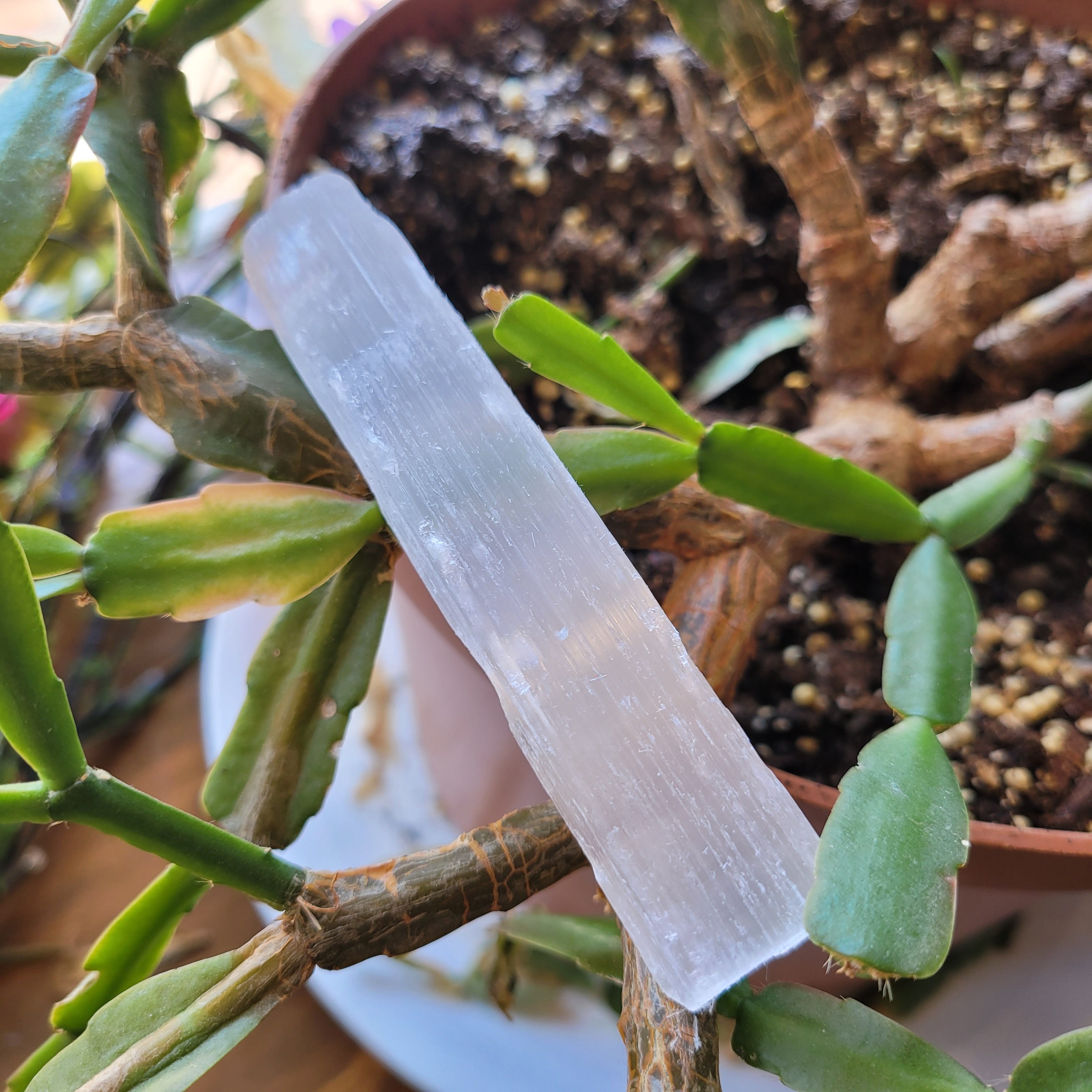 selenite stick